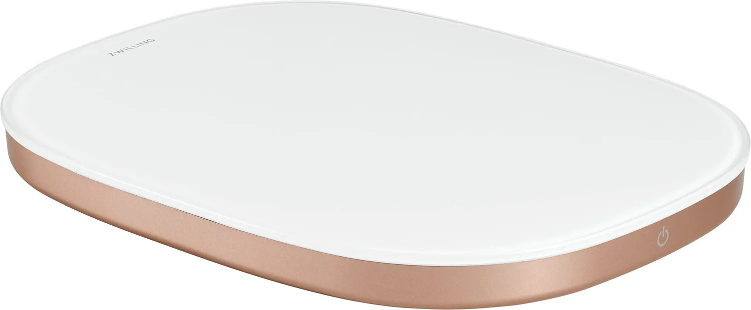 Zwilling Enfinigy bilancia cucina digitale 10 kg argento