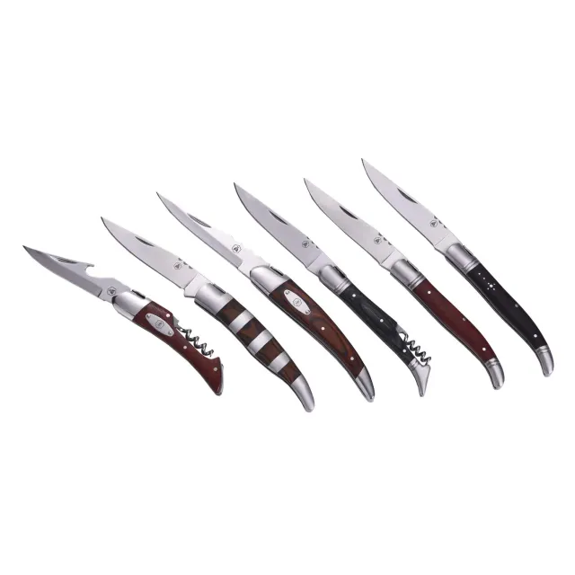 Laguiole en Aubrac coltelli pieghevoli pakka set 12 pezzi regalo
