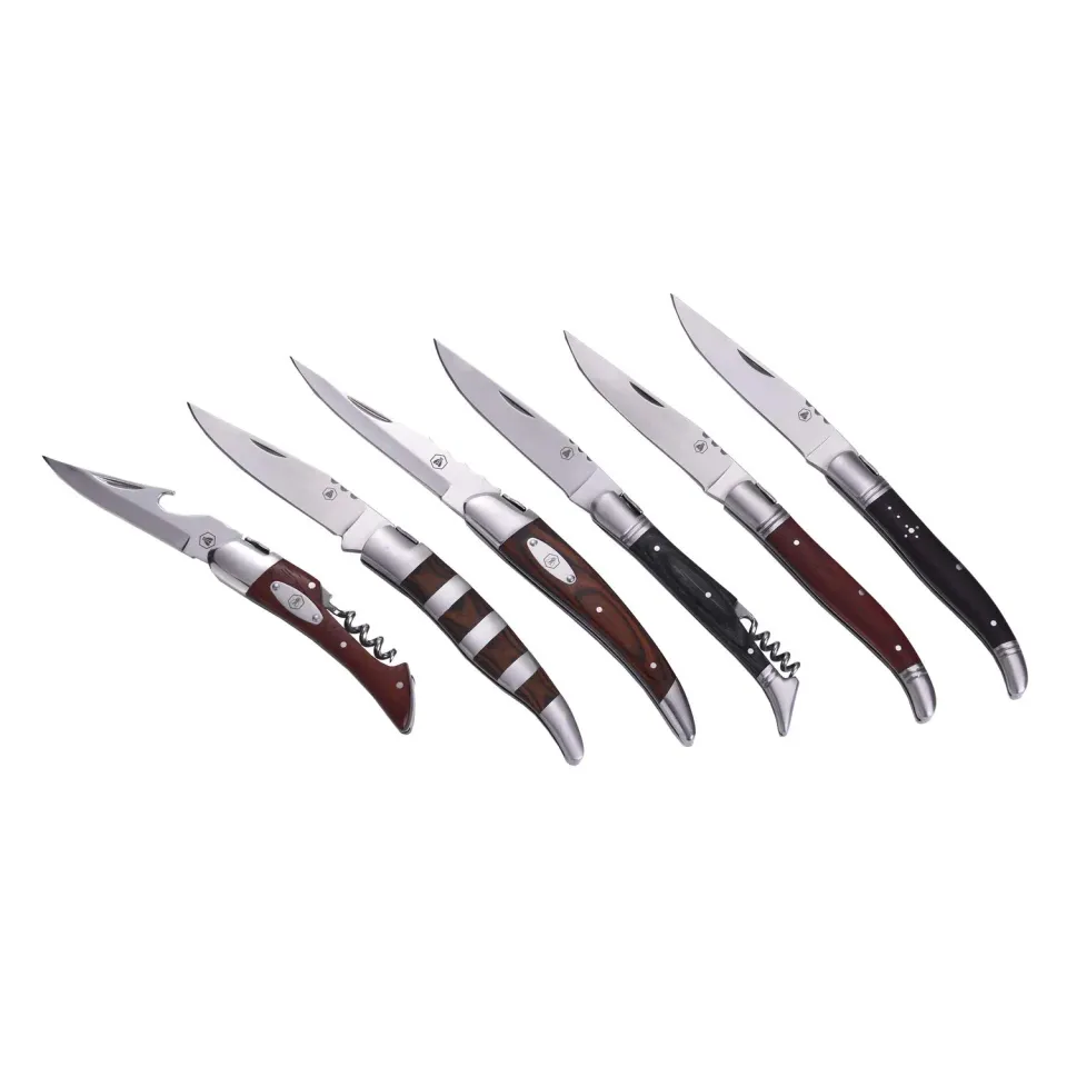 Laguiole en Aubrac coltelli pieghevoli pakka set 12 pezzi regalo
