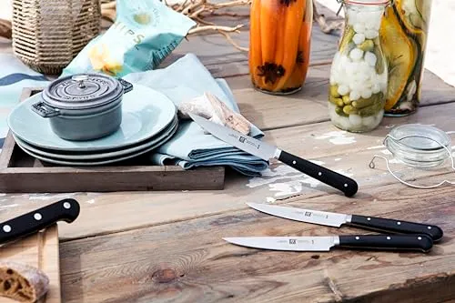 Zwilling 39029-002-0 Set Coltelli Bistecca 4 Pezzi lama seghettata