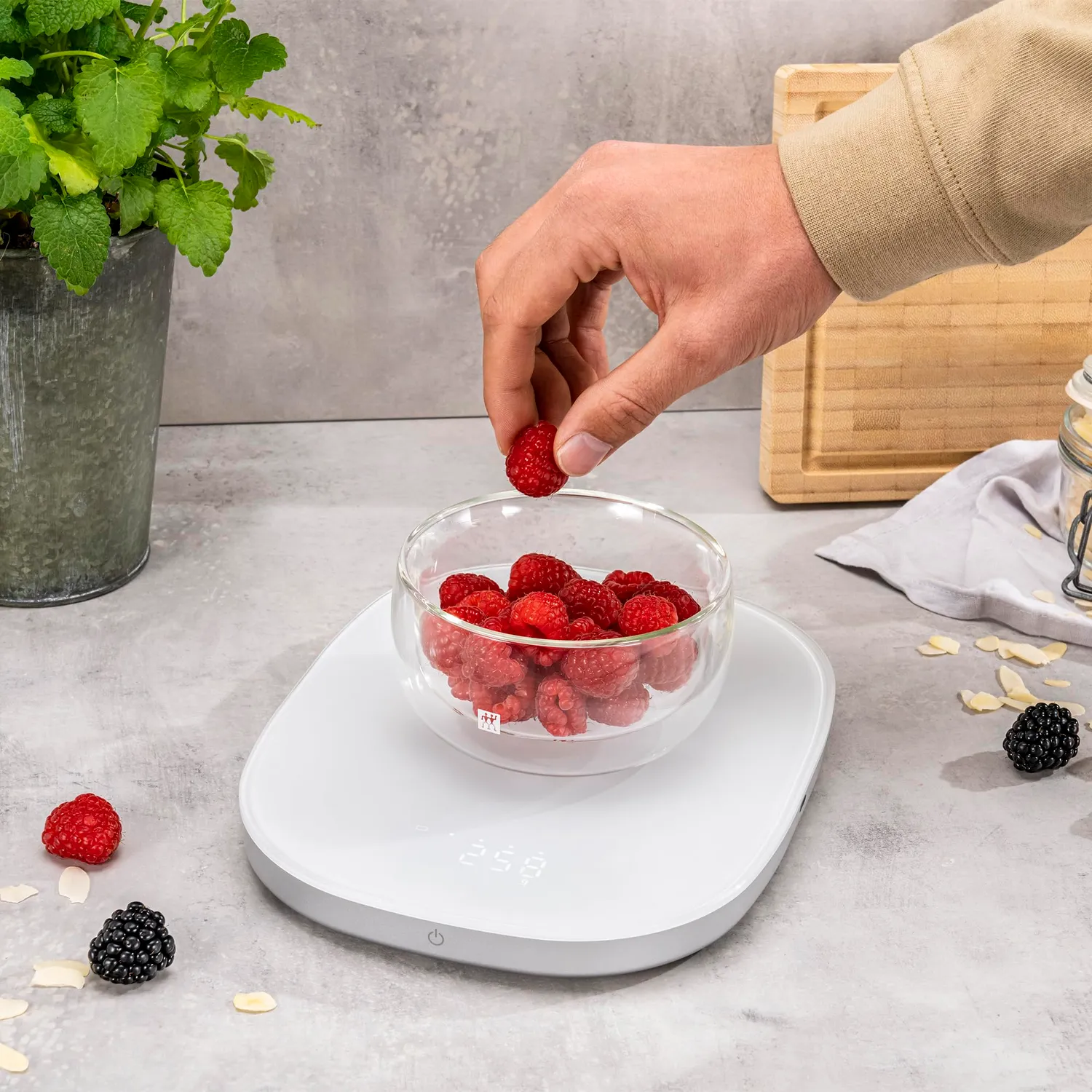Zwilling Enfinigy bilancia cucina digitale 10 kg bianca