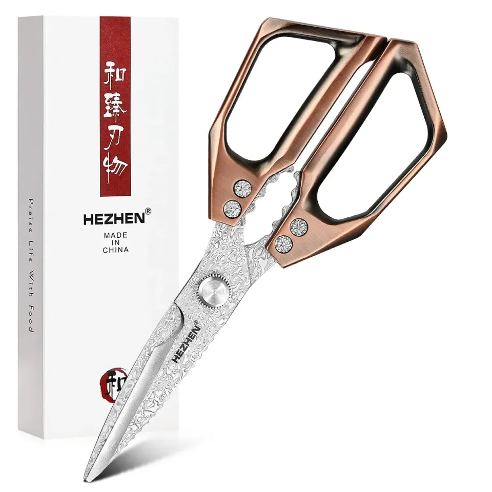 Hezhen forbici cucina damasco 110 strati