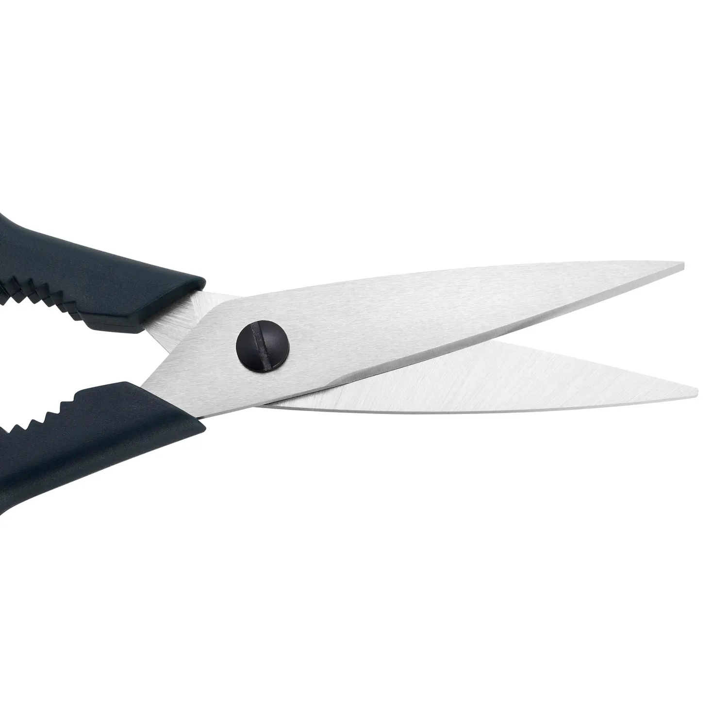 Zwilling Now S forbici cucina blu mirtillo acciaio