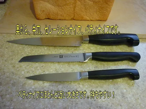 Zwilling Pure 33600-131-0 coltello universale 13 cm