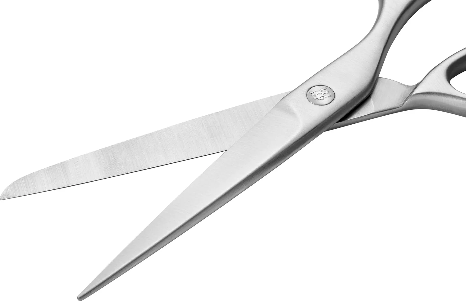 Zwilling Twin Select 1021191 Forbici Cucina 18 cm Argento Opaco