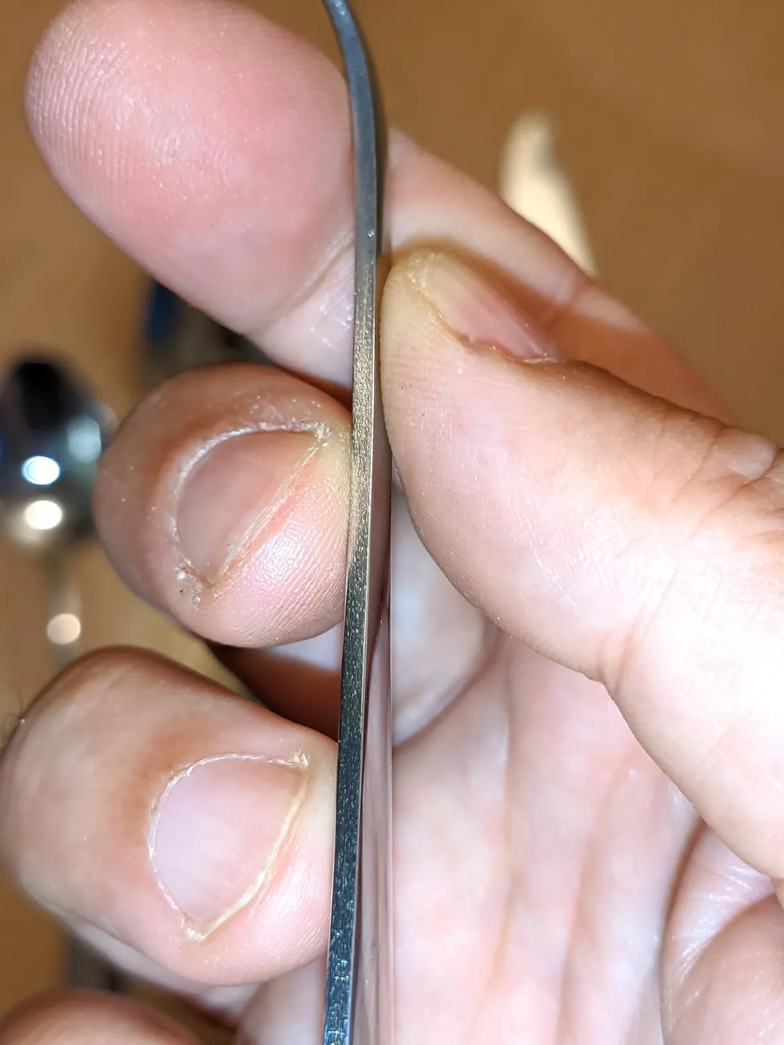 D.Perlla posate acciaio inox 48 pezzi 8 persone argento