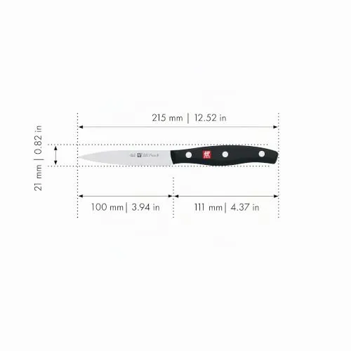 Zwilling Twin Pollux 30720-101 spelucchino 10 cm inox