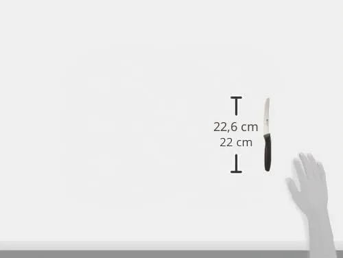 Zwilling Twin Grip set 6 coltelli cucina 12 cm plastica