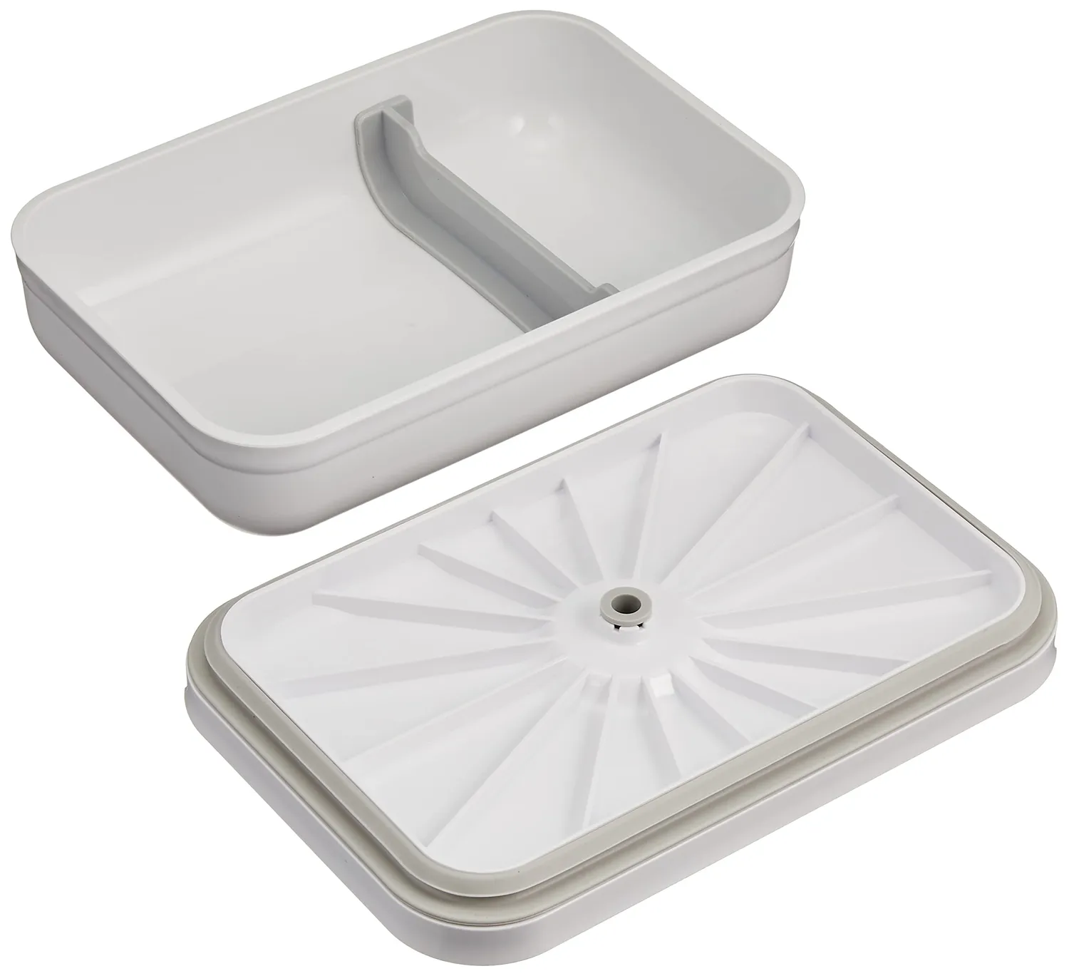 Zwilling Fresh & Save 36801-318 Contenitore Sottovuoto Piatto Grande