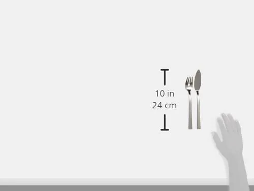 Zwilling Dinner 07150-244-0 posate da pesce 2 pezzi inox