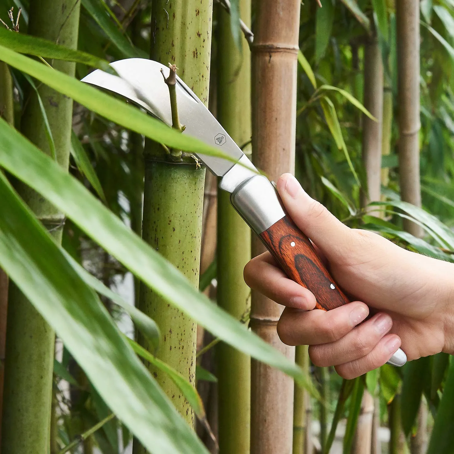 Laguiole set 2 coltelli pieghevoli giardinaggio custodia pakka