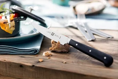 Zwilling 39029-002-0 Set Coltelli Bistecca 4 Pezzi lama seghettata