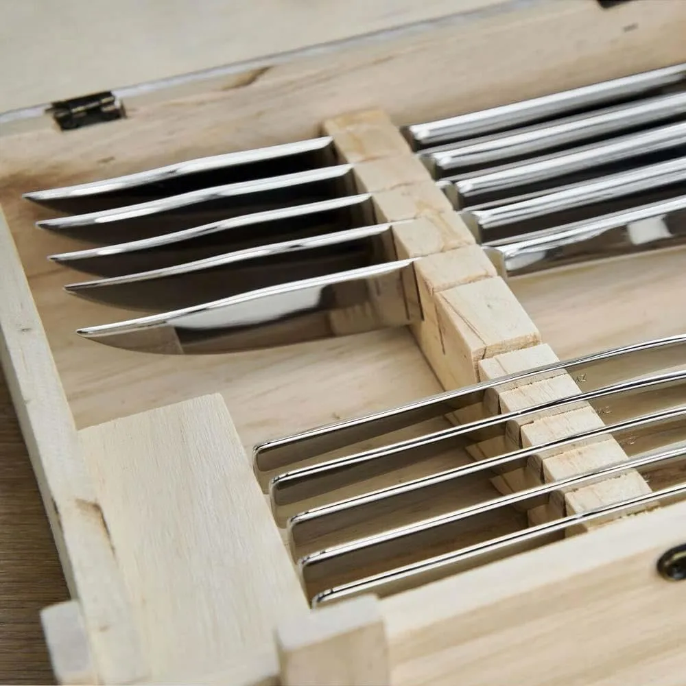 Zwilling set posate bistecca 12 pezzi 6 persone acciaio inox